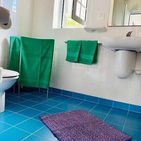 Quinta Perpetua, Casa Flores Сasa de vacaciones Santa Cruz da Graciosa