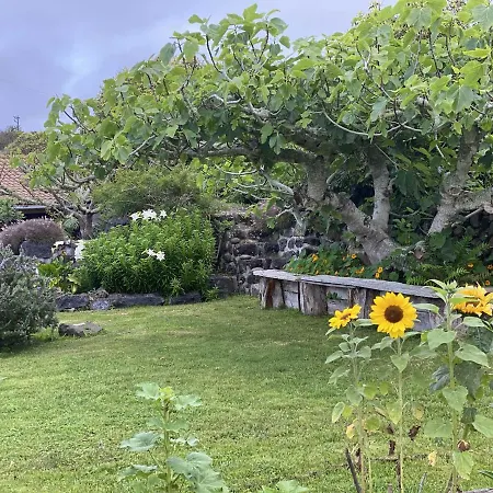 Сasa de vacaciones Quinta Perpetua, Casa Flores