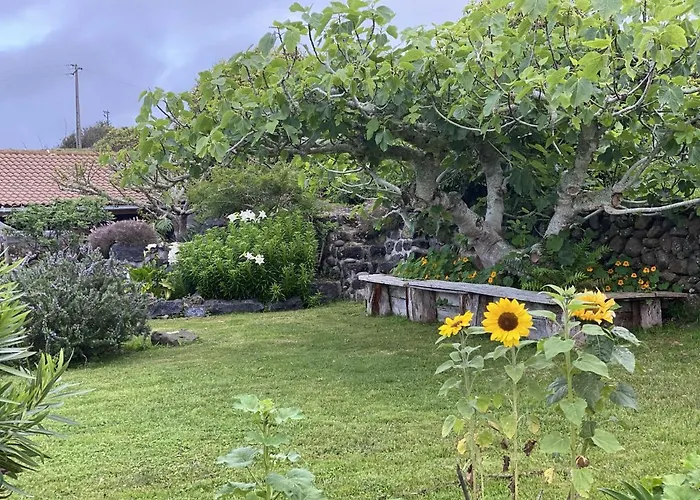 Holiday home Quinta Perpetua, Casa Flores